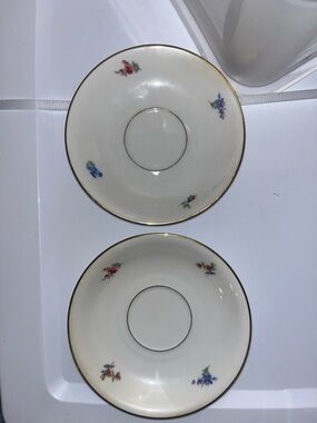 Vintage Johann Beltmann Vohenstowski Bavaria 2 saucers